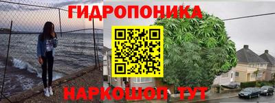 гашик Севастополь